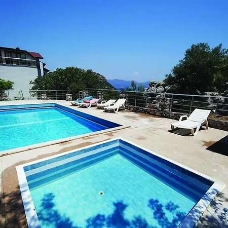 Zeus 2* İcmeler